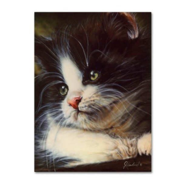 Jenny Newland 'Precious Moment' Canvas Art, 18x24, Trademark Fine Art, Mfr#: ALI1884-C1824GG